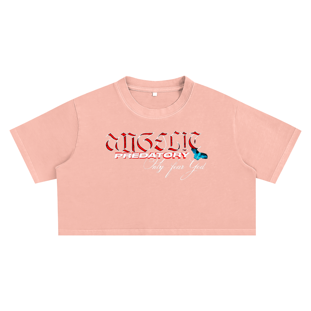 Snow Washed Crop Top